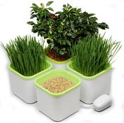 Sprouting Gear- Wealth of Health Products
