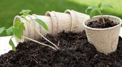 Vermicast "100% organic worm castings" 200g
