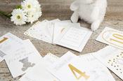 Little Star Baby Milestone Cards