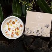 Irish Botanicals Wildflowers Wildrose &amp; Stinging Nettle Planter Candle
