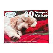 Childrens Hospital Charity Christmas Cards Bumper Value Pack image