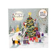Irish Cancer Society Christmas Cards Outdoor Fun image