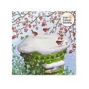 Irish Cancer Society Christmas Cards Red Robins image