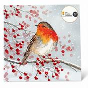 Irish Hospice Foundation Christmas Cards Red Robins image
