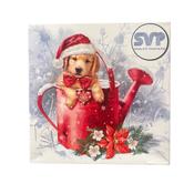 St. Vincent de Paul Puppy Christmas Cards