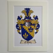 Family Crest Parchment - ANY NAME - Made to Order