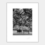 St Stephens Green Dublin 1999