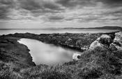 Sheep's Head