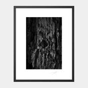 Burnt Bark image