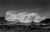 Wave