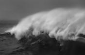 Wave