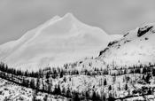 Alaskan Snow Peak image