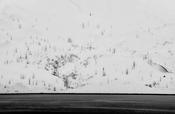 Glacier Bay