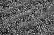 Abstract Water, Dingle image