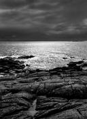 Evening Light
