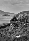 Slea head image