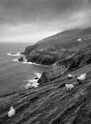 Slea Head