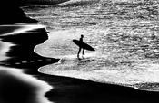 Evening surfer