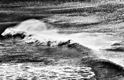 Dingle surfer