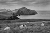 Dingle peninsula