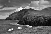 Dingle Peninsula 4 image