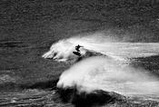 Slead Head Surfer
