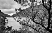 Glenveagh, Donegal, 2022