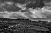 Donegal Coastline, 2022 image