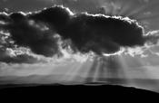 Donegal Sunburst, 2022 image