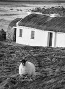 Donegal cottage
