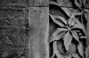 Dublin Detail