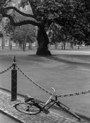 Trinity College