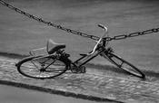 Trinity Bike