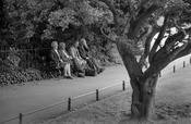 Four On A Bench image