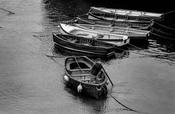 Dalkey Boats