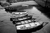 Dalkey Boats