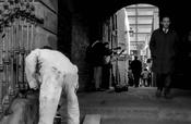 The Painter image