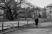 Trinity College