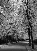 St Stephen's Green image