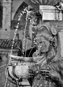 Statues of Florence image