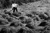 Man at Work