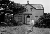 Horse &amp; House