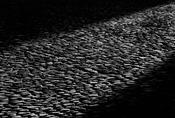 Trinity Cobbles '88