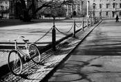 Trinity College