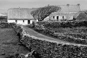 Cottages image