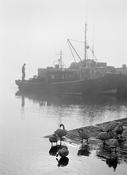 Kinsale pier, 91