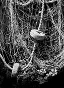 Fishing nets, 87