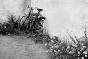 Old Bike