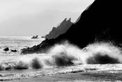 Waves