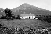 Mayo Cottage '95 image